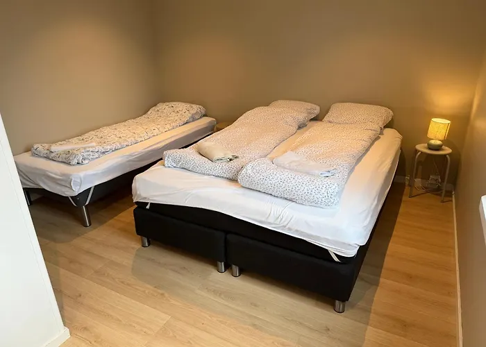 Modern With Free Parking Apartment